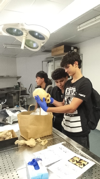 Alumnos del IES Agustín Espinosa, ayer en la clínica forenses del palacio de Justicia de Arrecife